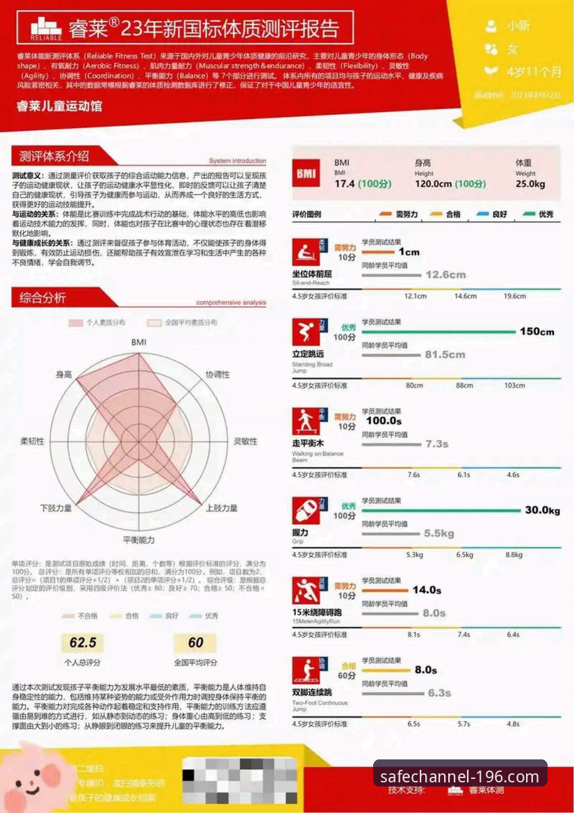 体育官网正版 196体育平台全方位深度评测:体育官网正版入口安全性与使用体验分析